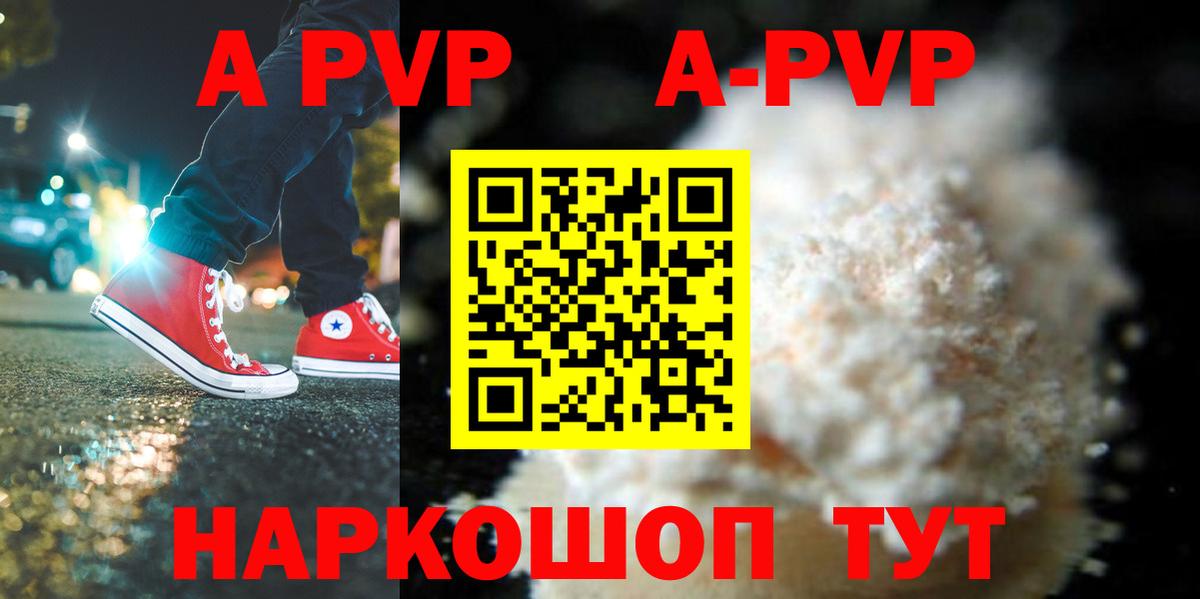 A-PVP СК Великий Новгород