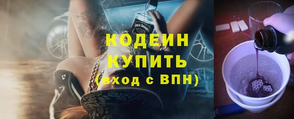 хмурый Касимов