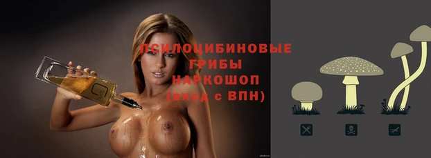 синтетический гашиш Каменск-Шахтинский