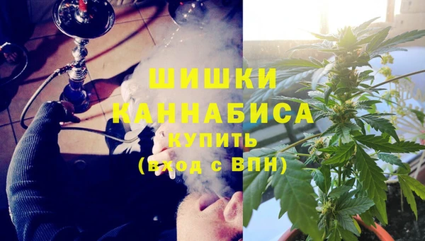 хмурый Касимов