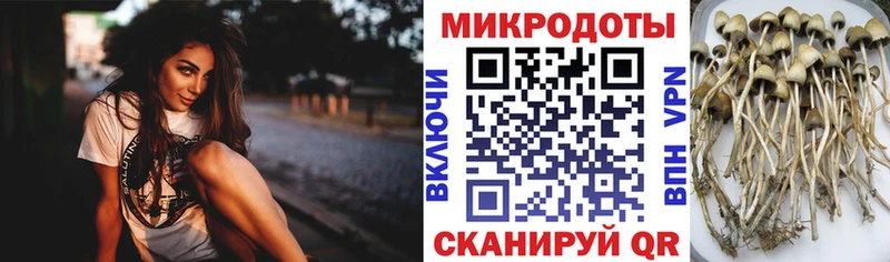 Псилоцибиновые грибы ЛСД это официальный сайт Великий Новгород