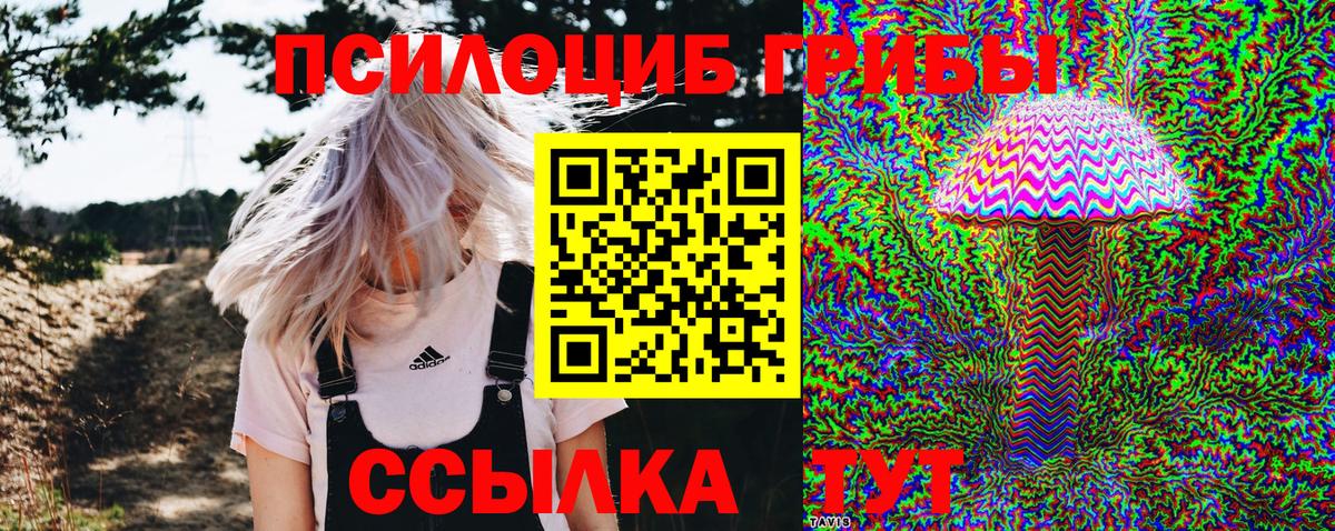 Псилоцибиновые грибы мухоморы Великий Новгород