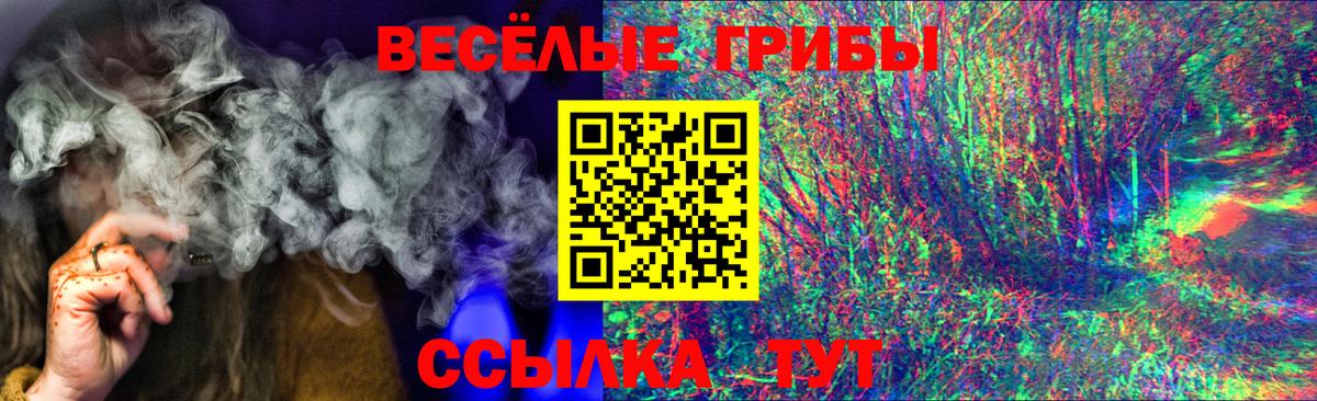 Великий Новгород  Псилоцибиновые грибы ЛСД  Вход с VPN 