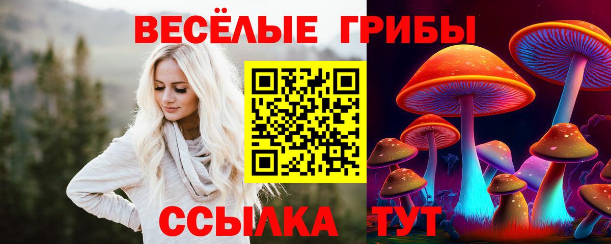 Галлюциногенные грибы Psilocybe  Великий Новгород  Галлюциногенные грибы ЛСД 
