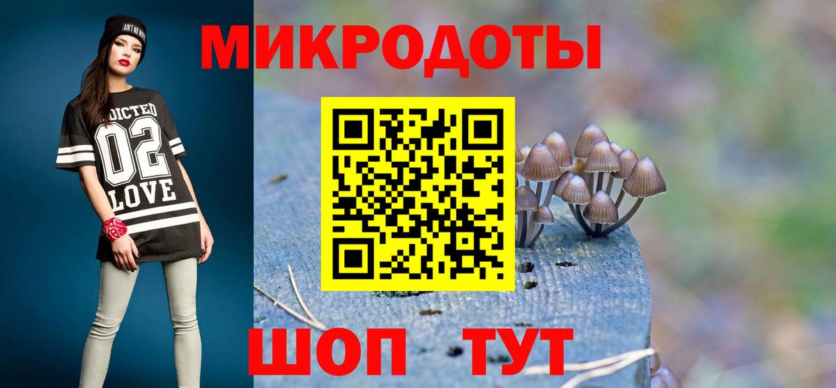 Галлюциногенные грибы Psilocybine cubensis Великий Новгород